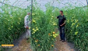 La Bonne Etape - La Fruitière Tourangelle