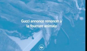 Gucci annonce renoncer à la fourrure animale
