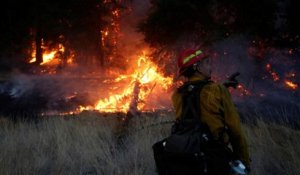 La Californie brûle : 40 morts