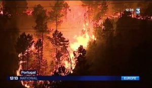 Incendie : le Portugal en proie aux flammes