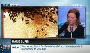 Dupin Quotidien : L'insecticide "Sulfoxaflor" autorisé en France - 20/10