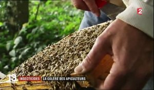 Insecticides : les apiculteurs en colère