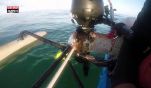 Un homme sauve un iguane lors d’une balade en kayak (vidéo)