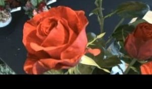 Actu24.be - Des roses de 180 cms