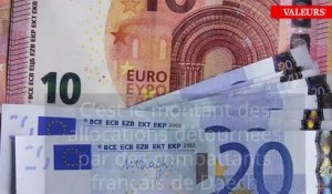 Des jihadistes français payés par la CAF et Pôle emploi