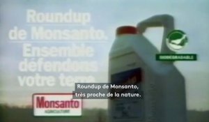"Roundup, c'est l'idéal" : quand Monsanto vantait son désherbant "biodégradable"