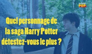 Harry Potter : quel personnage détestez-vous le plus ?