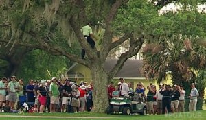 Ce golfeur joue une balle coincée dans un arbre !