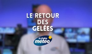 Le retour des gelées