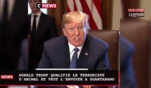 Donald Trump qualifie le terroriste d'animal et veut l'envoyer à Guantanamo (vidéo)