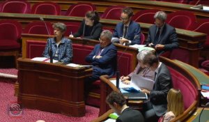 [Questions sur] La PPL relative à l'accueil des gens du voyage et à la lutte contre les installations illicites