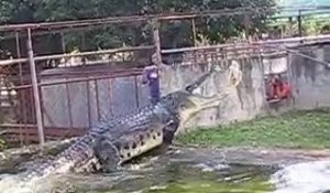 Voici Lapu-Lapu le plus gros crocodile du monde...