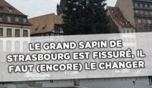 Le grand sapin de Strasbourg est fissuré, il faut (encore) le changer