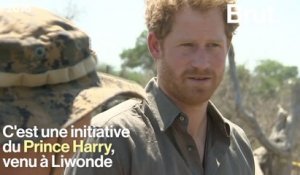 Au Malawi, les rangers s'organisent contre le braconnage avec les soldats britanniques