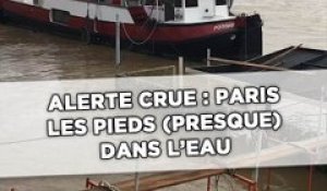 Alerte crue : Paris les pieds (presque) dans l'eau