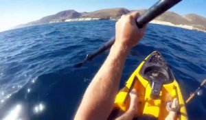 Un kayakiste se fait attaquer par un requin très agressif qui ne veut plus le lâcher