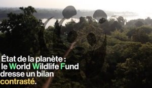 Le bilan contrasté sur l'état de la planète d'Isabelle Autissier (WWF)