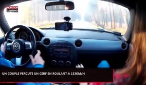 Un couple en voiture percute un cerf en roulant à plus de 133 km/h (Vidéo)