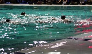 natation synchronisée swim and dance Tournai 1