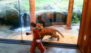 Ce gamin déguisé en tigre s'amuse avec un jeune tigre... Moment incroyable