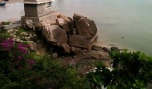 Des singes s'amusent à sauter d'une falaise... Cliff diving