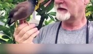 Ce homme et son oiseau chantent ensemble.. Duo adorable