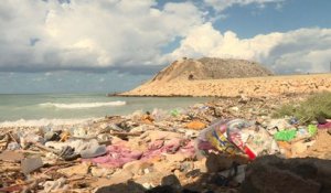 Plongée et recyclage pour sauver le Liban de ses déchets
