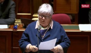 Jacqueline Gourault s'oppose à la création d'une nouvelle "réserve parlementaire"