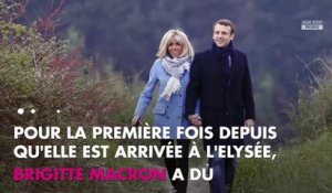 Brigitte Macron : Stéphane Guillon ironise sur le baptême du panda au zoo de Beauval