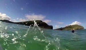 Un surfeur se rend compte qu’il y a un requin juste en dessous de lui (Australie)