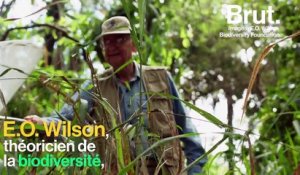 Selon le biologiste E.O Wilson, pour sauver la planète, il faut la diviser en deux