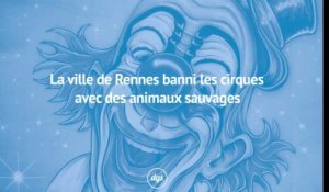 La ville de Rennes banni les cirques avec des animaux sauvages