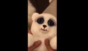 Une peluche gentille et méchante comme son chien