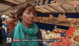 Poisson : pourquoi la production française est en panne