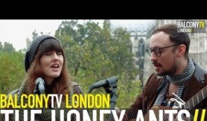 THE HONEY ANTS - HONEY BE SAD (BalconyTV)