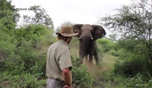 Homme vs Charge d'un éléphant