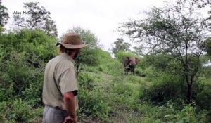 Ce guide a une réaction parfaite lorsqu'il se fait charger par un éléphant
