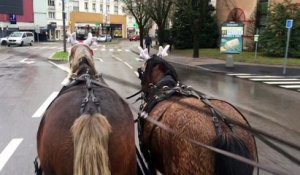 La calèche de Noël dans les rues d'Epinal