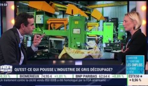 Fabuleuse French Fab: Gris découpage - Les emplois - 03/01
