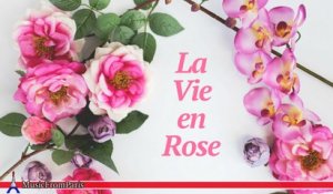 Les Chansonniers - La Vie en Rose Compilation | Les Plus Belles Chansons d'Amour