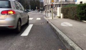 Besançon : arrêt brutal de la piste cyclable