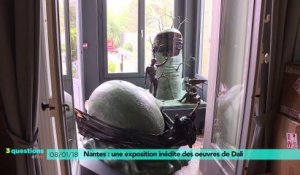 Nantes : une exposition inédite de Salvador Dali