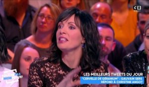 ONPC : "Quand Christine Angot n'aime pas, elle méprise" lance Géraldine Maillet