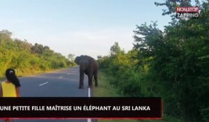 Sri Lanka : Une petite fille maîtrise un éléphant sauvage, les images impressionnantes (Vidéo)