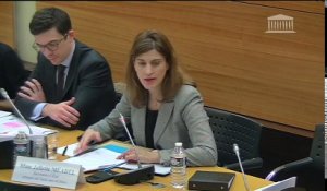 Lutte contre le terrorisme (mission de suivi) : Mme Juliette Méadel, secrétaire d’État chargée de l’Aide aux victimes - Lundi 19 décembre 2016