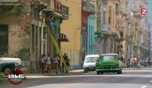 Cuba est devenue un paradis pour les abeilles... grâce à la chute de l'Union soviétique