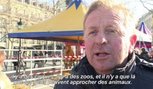 Des animaux de cirque place de la République à Paris