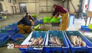 Mer du Nord : la guerre de la pêche électrique