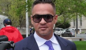 Mike "the Situation" Sorrentino Pleads Guilty
