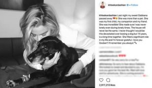 Khloe Kardashian Mourns Dog After it Dies
